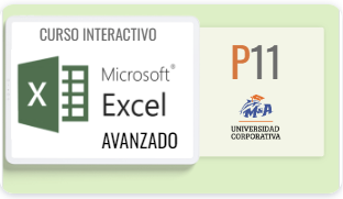 P11. Curso Interactivo M. Excel (Avanzado)